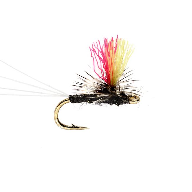 Orvis Trout Fishing Baits, Lures & Flies for sale